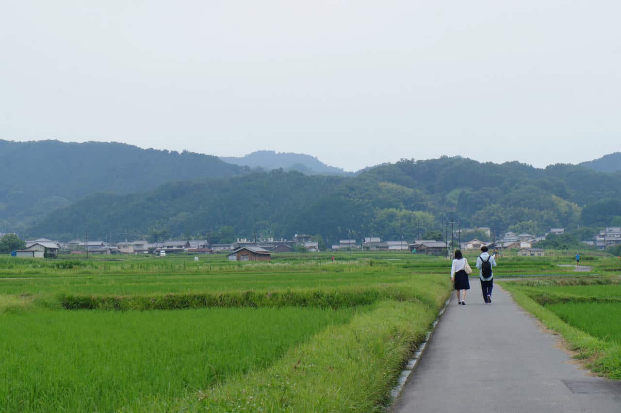 Post Image