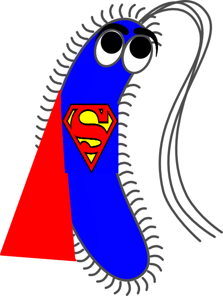 Post Image