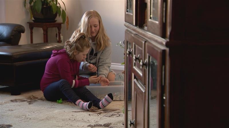 14 Edmonton-Area School Projects Fast-Tracked: Minister's Announcement 14 Edmonton-Area School Projects Fast-Tracked: Minister's Announcement