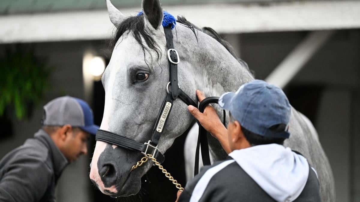2025 Tampa Bay Derby: Expert Predictions, Odds, And Contenders 2025 Tampa Bay Derby: Expert Predictions, Odds, And Contenders