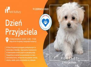 4 Kwietnia - Dzień Zwierząt Bezdomnych:  Solidarna Akcja Na Rzecz Bezdomnych Zwierząt