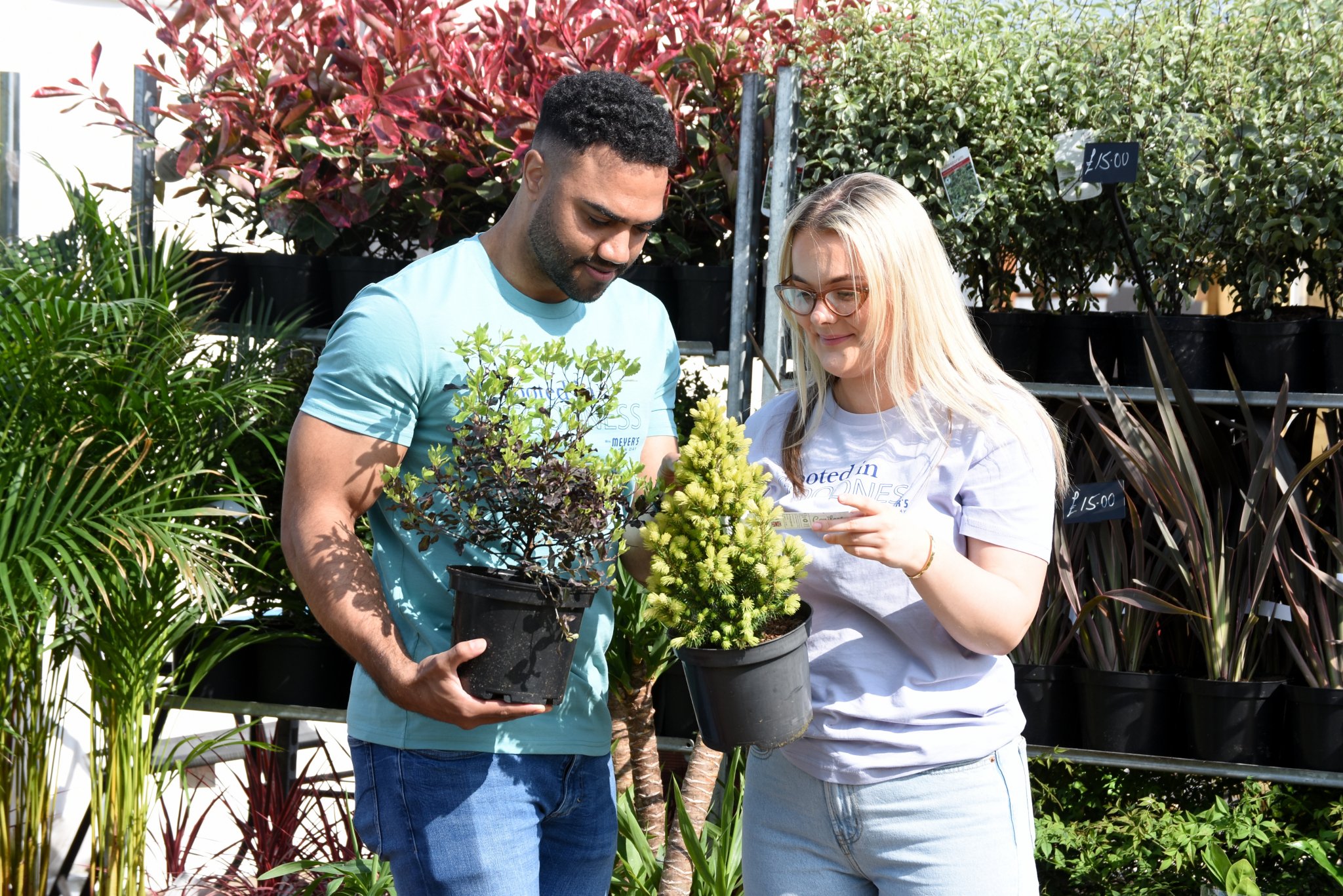40,000 Expected At Harrogate Spring Flower Show