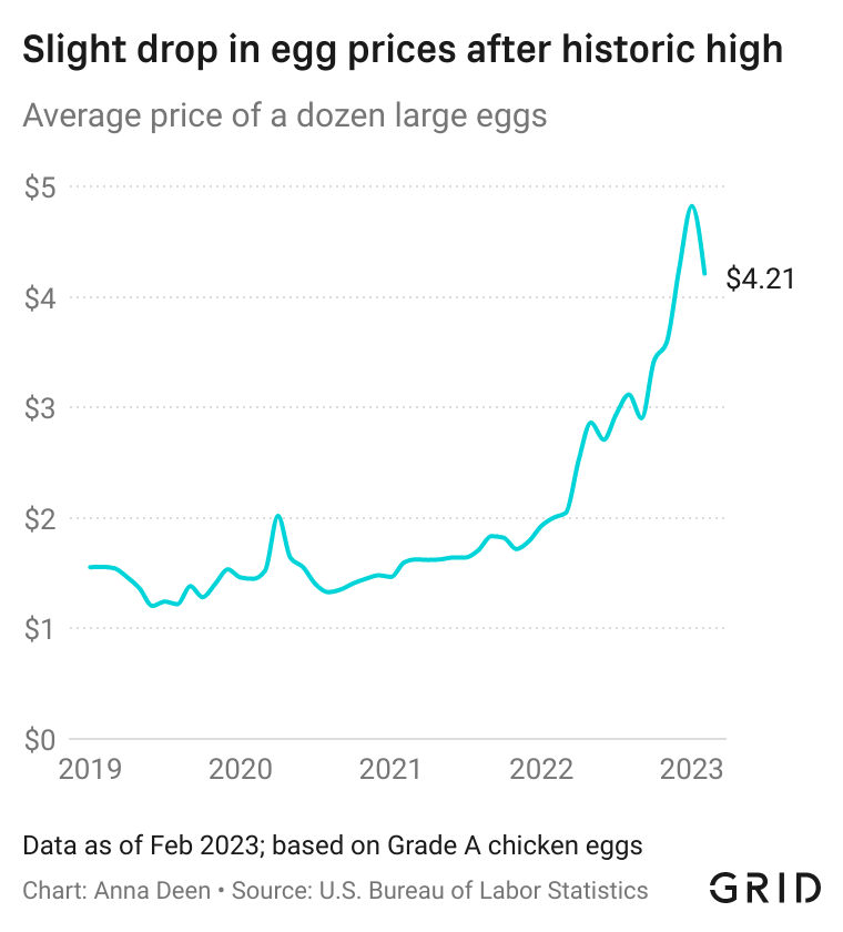 $5 Dozen Eggs: US Egg Price Drop Explained