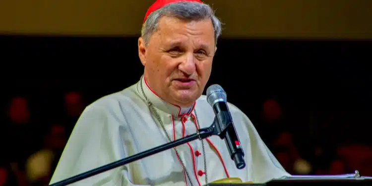 9 Potential Popes: Examining The Leading Candidates For The Papacy 9 Potential Popes: Examining The Leading Candidates For The Papacy