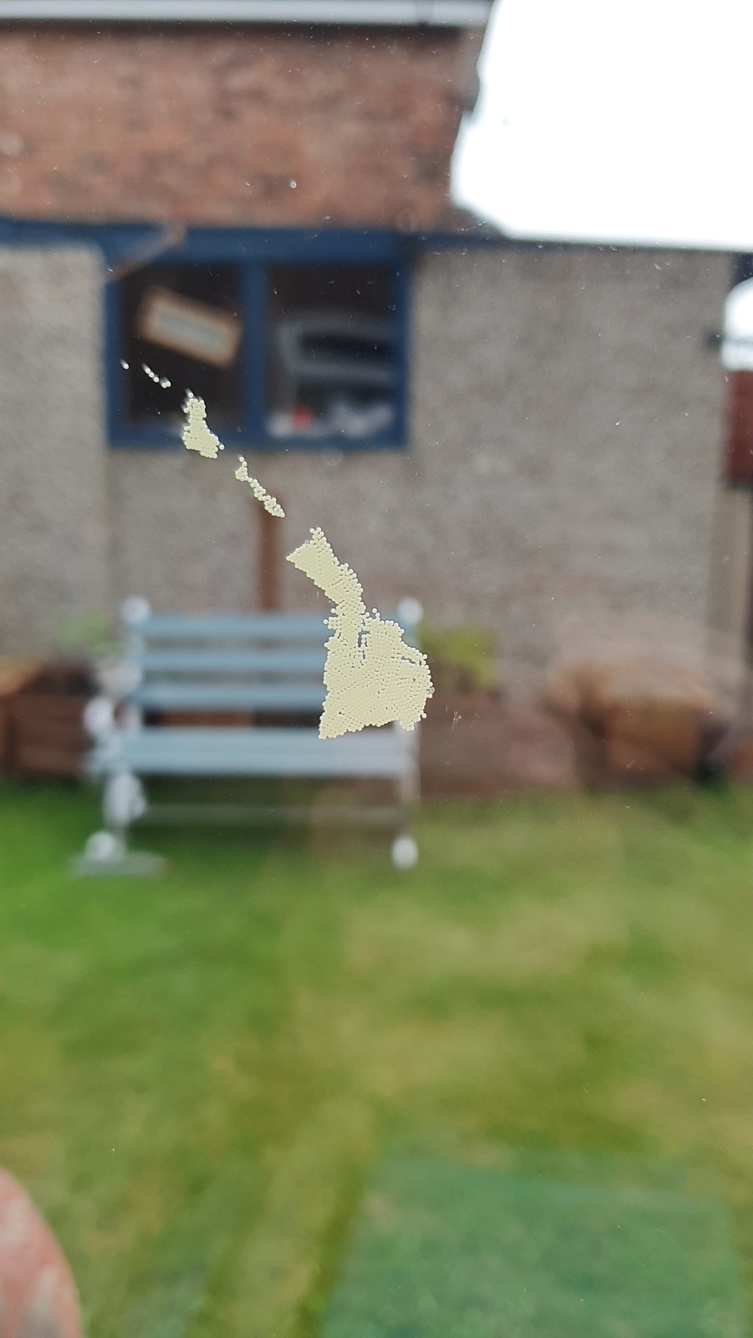 A Banksy Appeared Overnight: Your Action Plan A Banksy Appeared Overnight: Your Action Plan