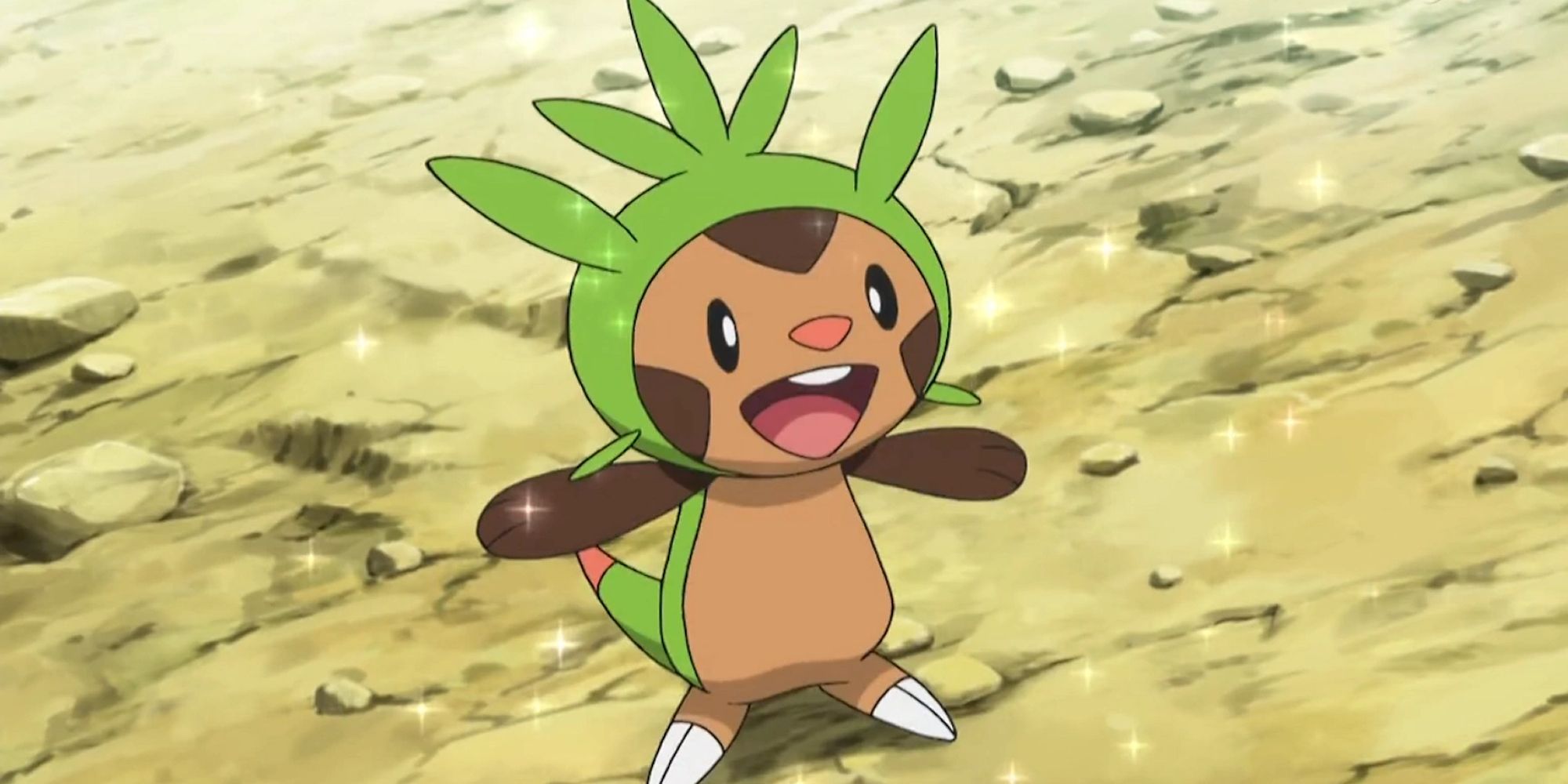 A Comparative Look At The Best Grass Pokémon Starters A Comparative Look At The Best Grass Pokémon Starters