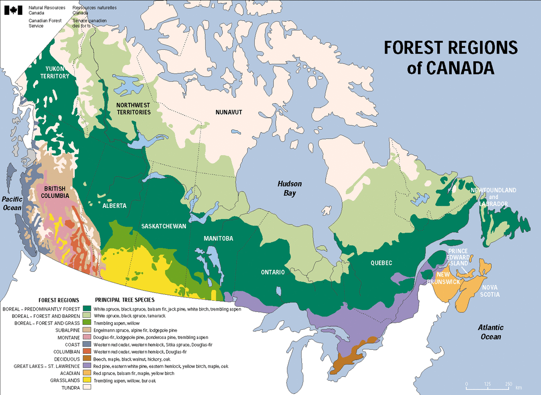 A Detailed Look At This Country's Geography And Wildlife A Detailed Look At This Country's Geography And Wildlife