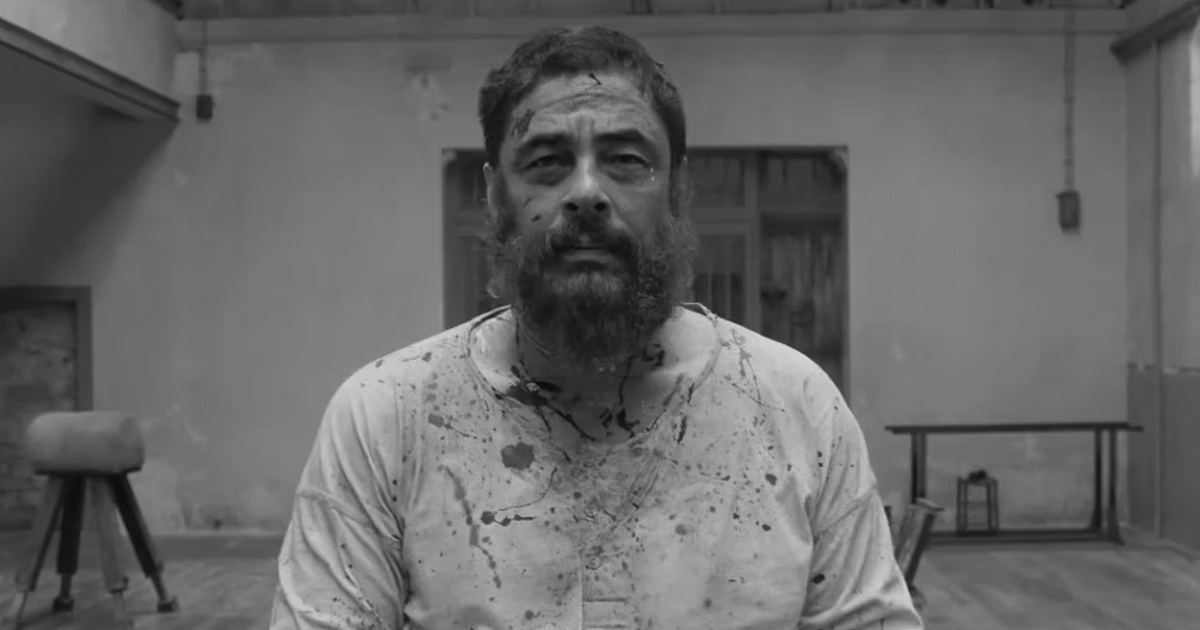 A Scheme For Benicio Del Toro: The Intriguing Details Of A Unique Gift A Scheme For Benicio Del Toro: The Intriguing Details Of A Unique Gift