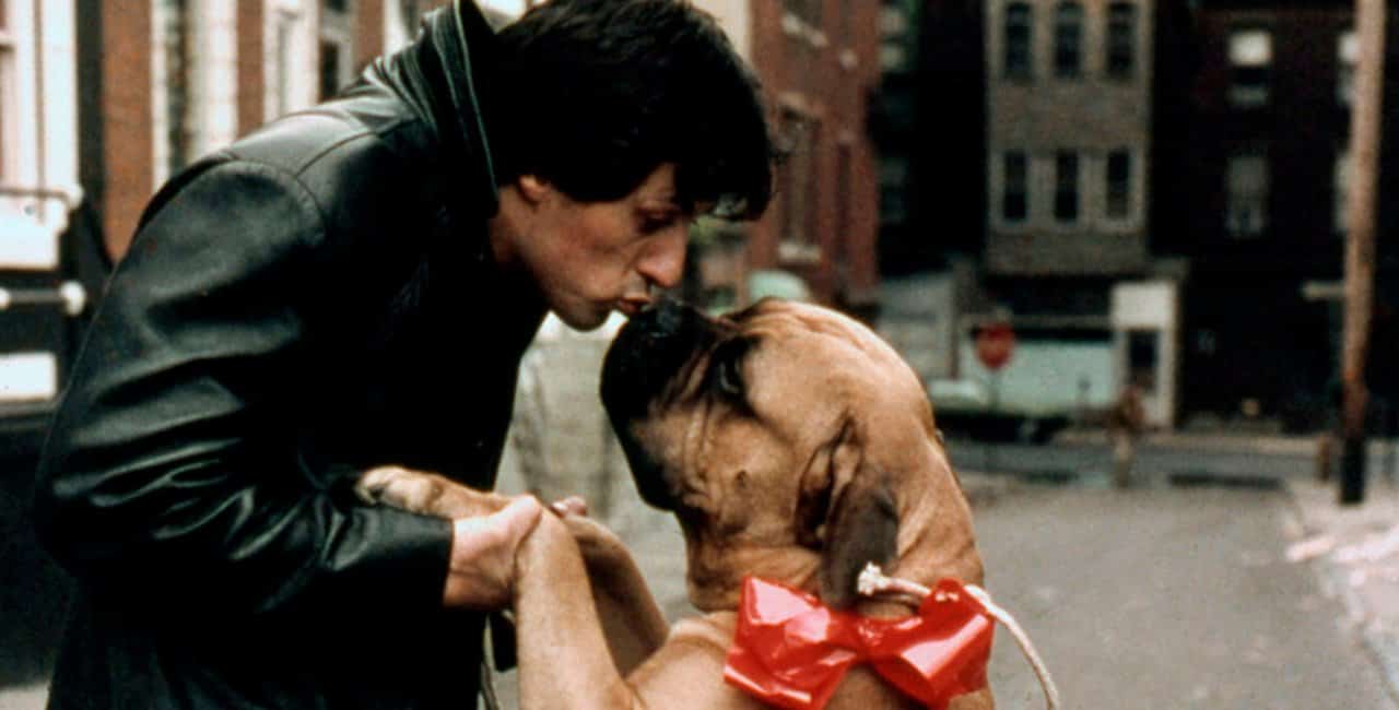 A Verdadeira Qualidade Da Adaptação De Quadrinhos Com Sylvester Stallone A Verdadeira Qualidade Da Adaptação De Quadrinhos Com Sylvester Stallone