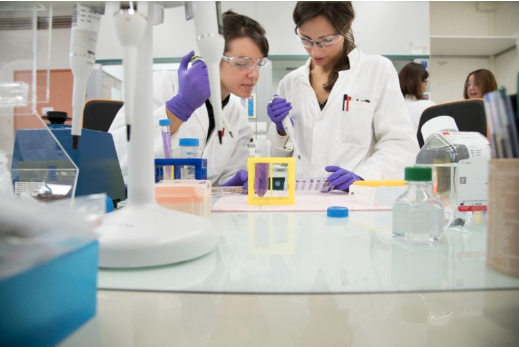 Acquisition Par Sanofi : Une Technologie D'Anticorps Bispécifiques De Dren Bio Révolutionnaire Acquisition Par Sanofi : Une Technologie D'Anticorps Bispécifiques De Dren Bio Révolutionnaire