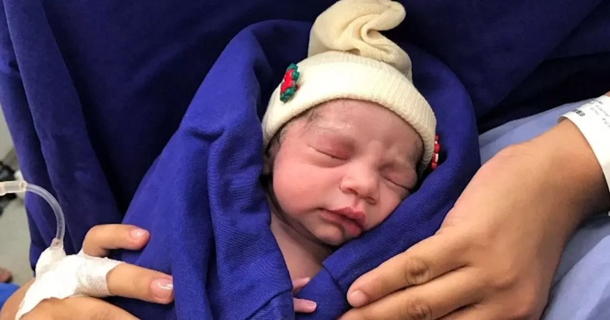 Activist Suggests Live Womb Transplants For Transgender Mothers Activist Suggests Live Womb Transplants For Transgender Mothers