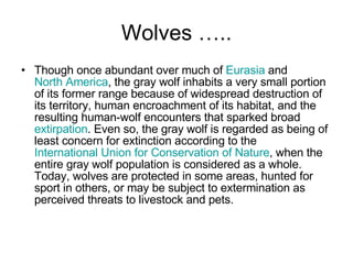 Addressing The Challenges Posed By Wolves In Barton's North State Addressing The Challenges Posed By Wolves In Barton's North State