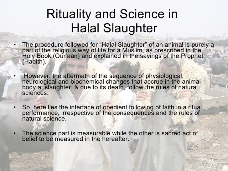 Addressing The Ethical Concerns Of Halal Slaughter For Vegans Addressing The Ethical Concerns Of Halal Slaughter For Vegans