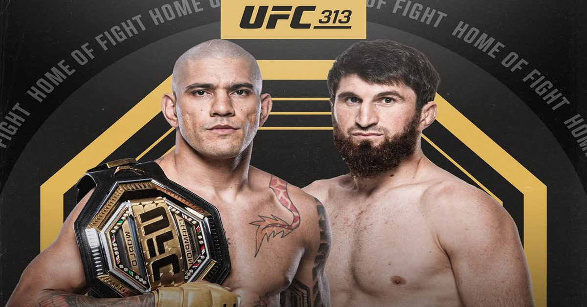 Alex Pereira's Future In UFC: Reaction And Plans After UFC 313 Alex Pereira's Future In UFC: Reaction And Plans After UFC 313