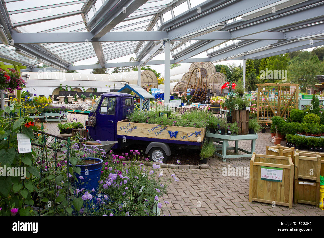 Ambleside Pair Face Charges After Hayes Garden World Theft Ambleside Pair Face Charges After Hayes Garden World Theft