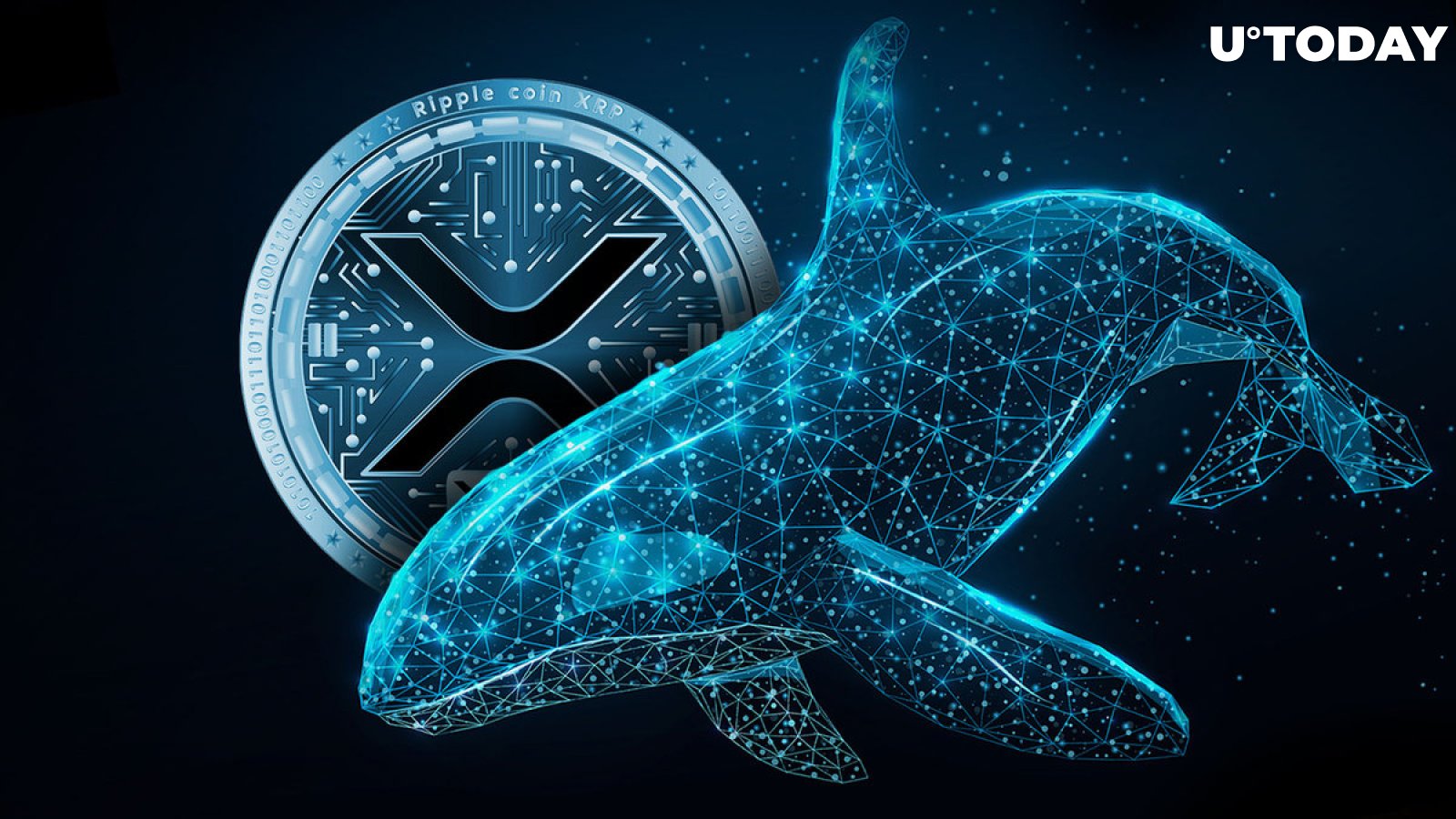 Analysis: 20 Million XRP Purchased By Whale - Bullish Signal? Analysis: 20 Million XRP Purchased By Whale - Bullish Signal?