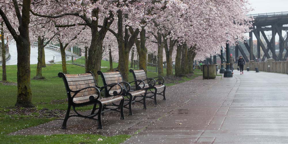 Analyzing April's Rainfall: Is It The Rainiest Month Yet? Analyzing April's Rainfall: Is It The Rainiest Month Yet?