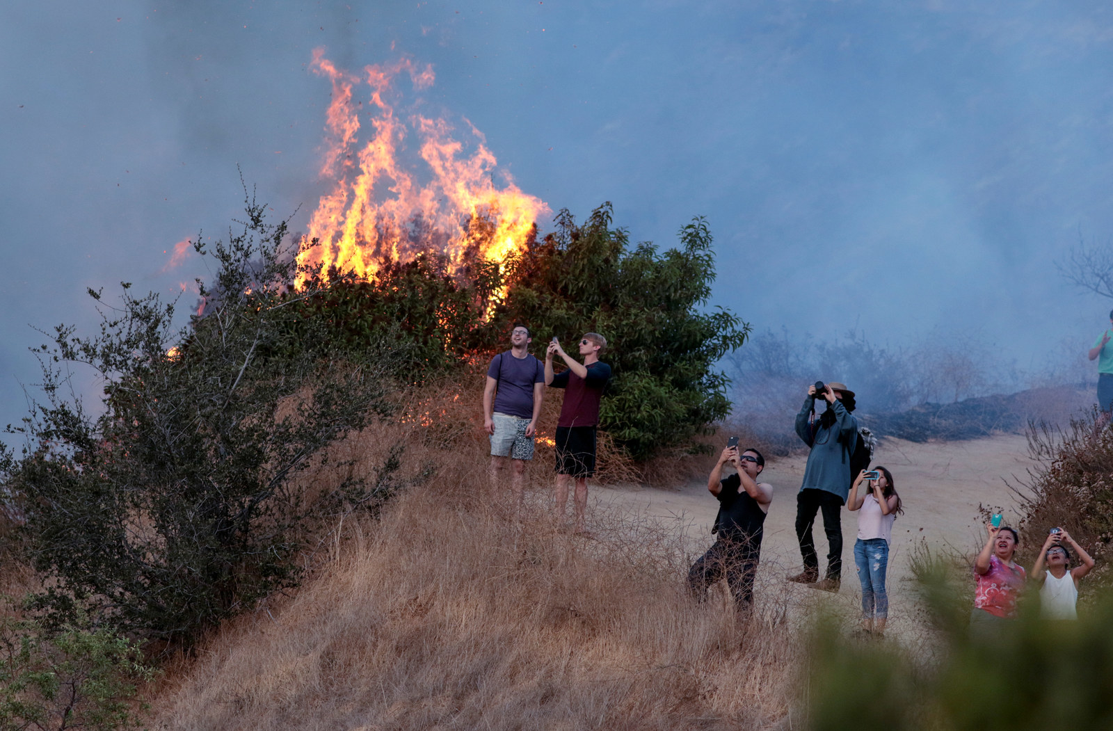Analyzing The Los Angeles Wildfire Betting Trend Analyzing The Los Angeles Wildfire Betting Trend