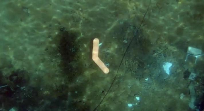 Are Torpedo Bats Revolutionizing Marlin Fishing? Are Torpedo Bats Revolutionizing Marlin Fishing?