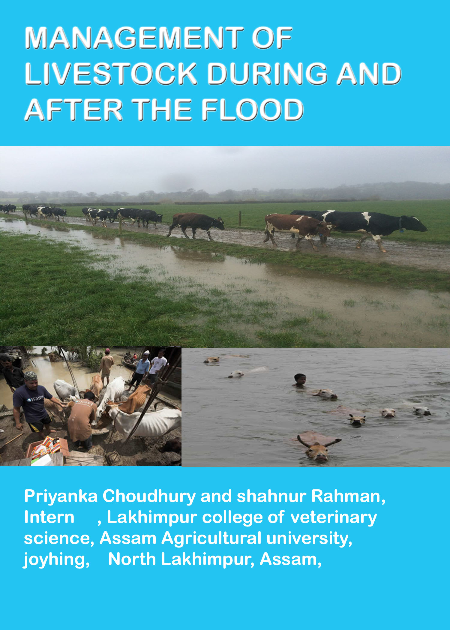 Assessing And Mitigating Flood Risks For Livestock Assessing And Mitigating Flood Risks For Livestock