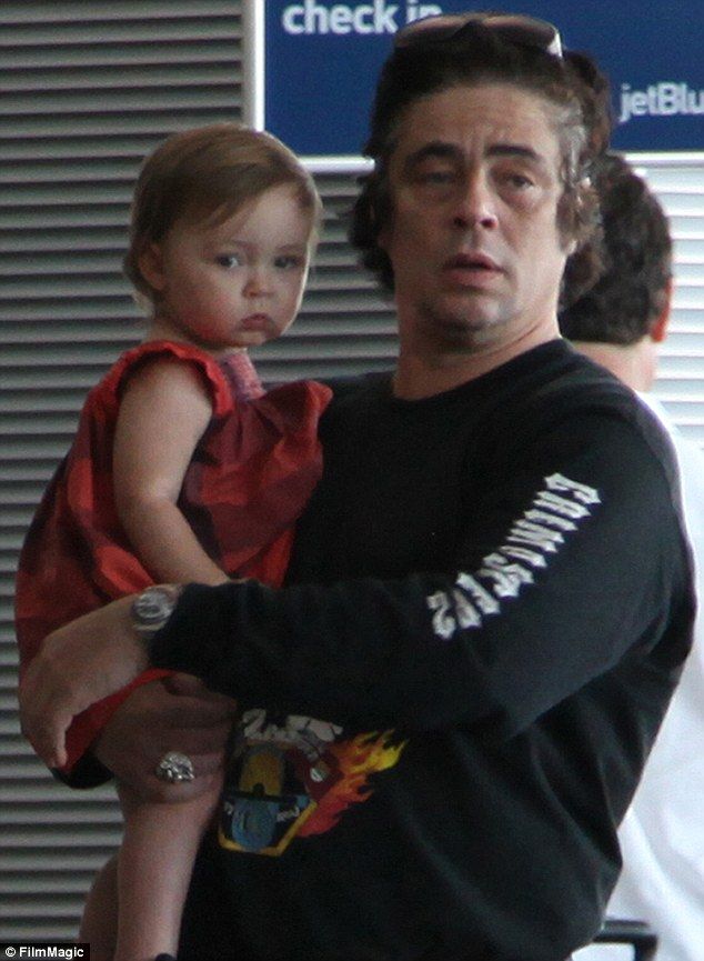 Benicio Del Toro's Unexpected Gift: A Detailed Look At The Scheme Benicio Del Toro's Unexpected Gift: A Detailed Look At The Scheme