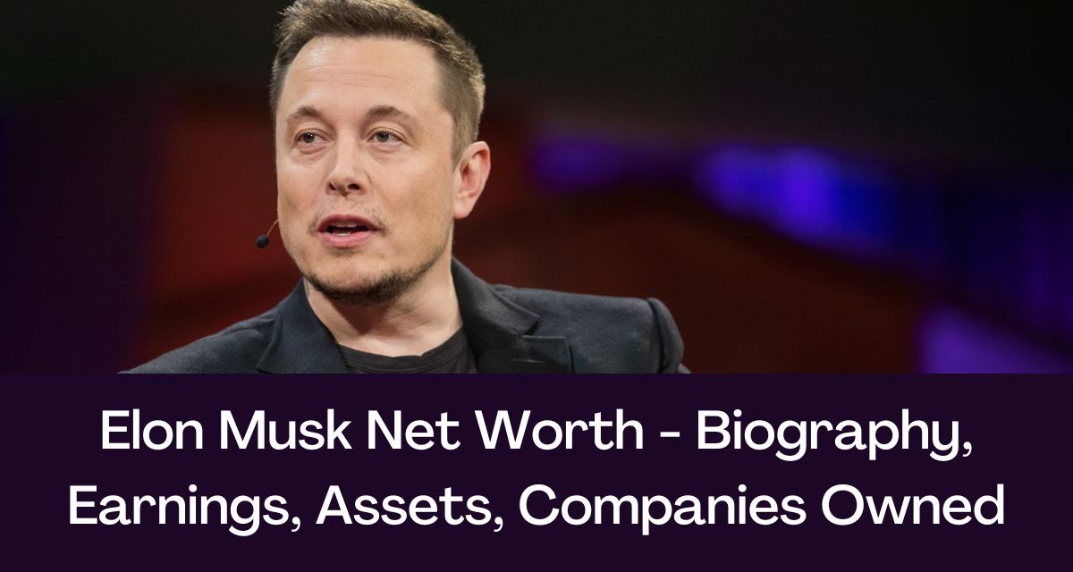 Billions Added To Elon Musk's Net Worth: Tesla's Rise And Dogecoin's Fall Billions Added To Elon Musk's Net Worth: Tesla's Rise And Dogecoin's Fall
