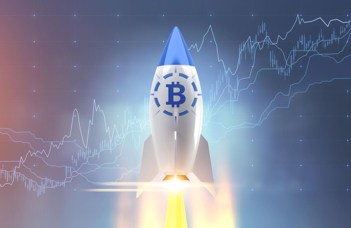 Bitcoin Price Soars: Trump's Crypto Expert Issues Surprise Forecast Bitcoin Price Soars: Trump's Crypto Expert Issues Surprise Forecast