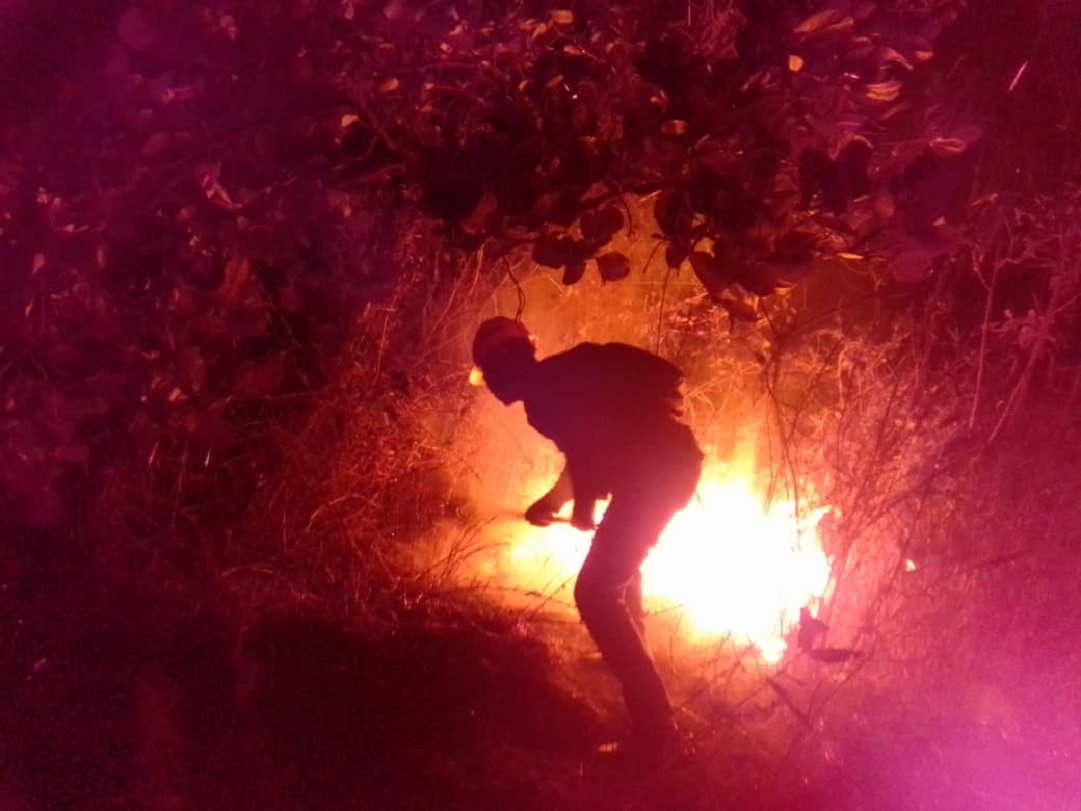 Bomberos Forestales Combaten Incendio En Constanza: Densa Humarada Afecta A Residentes Bomberos Forestales Combaten Incendio En Constanza: Densa Humarada Afecta A Residentes