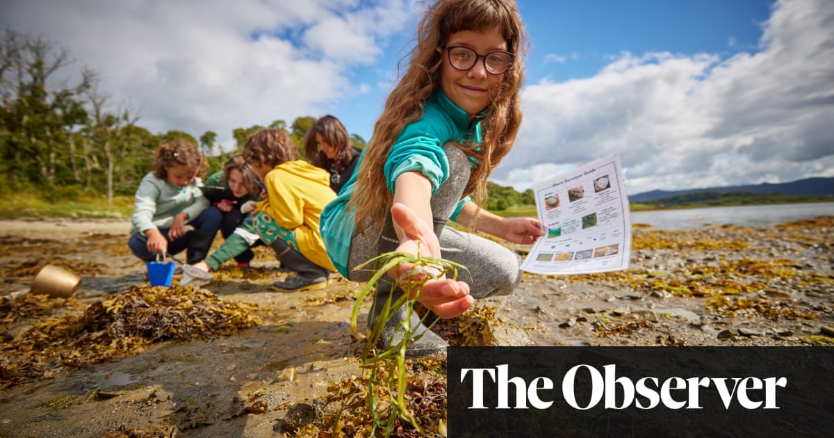 Boosting Scotland's Coastline: Seagrass Planting Initiatives Boosting Scotland's Coastline: Seagrass Planting Initiatives