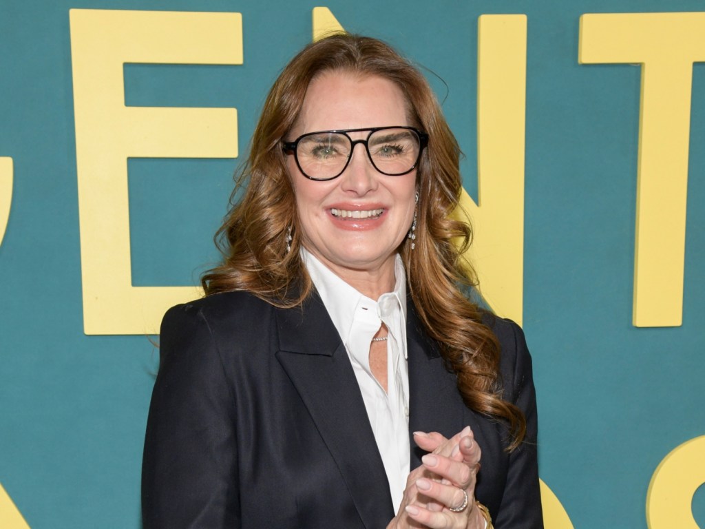 Brooke Shields' Book Reveals:  Why Children With Agassi Were A Disaster
