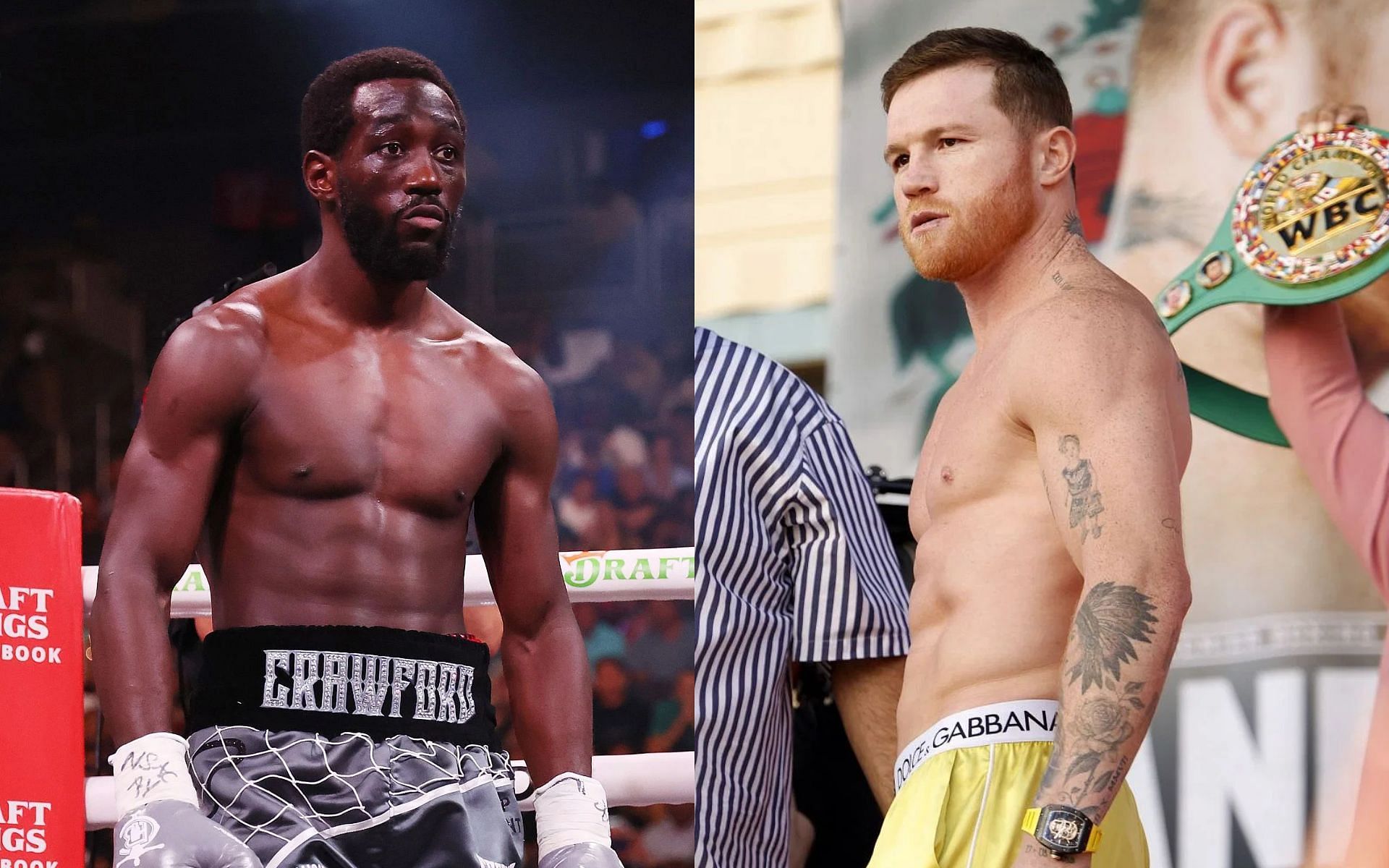 Canelo Alvarez Vs. Terence Crawford: Is Crawford Too Small To Win? Canelo Alvarez Vs. Terence Crawford: Is Crawford Too Small To Win?