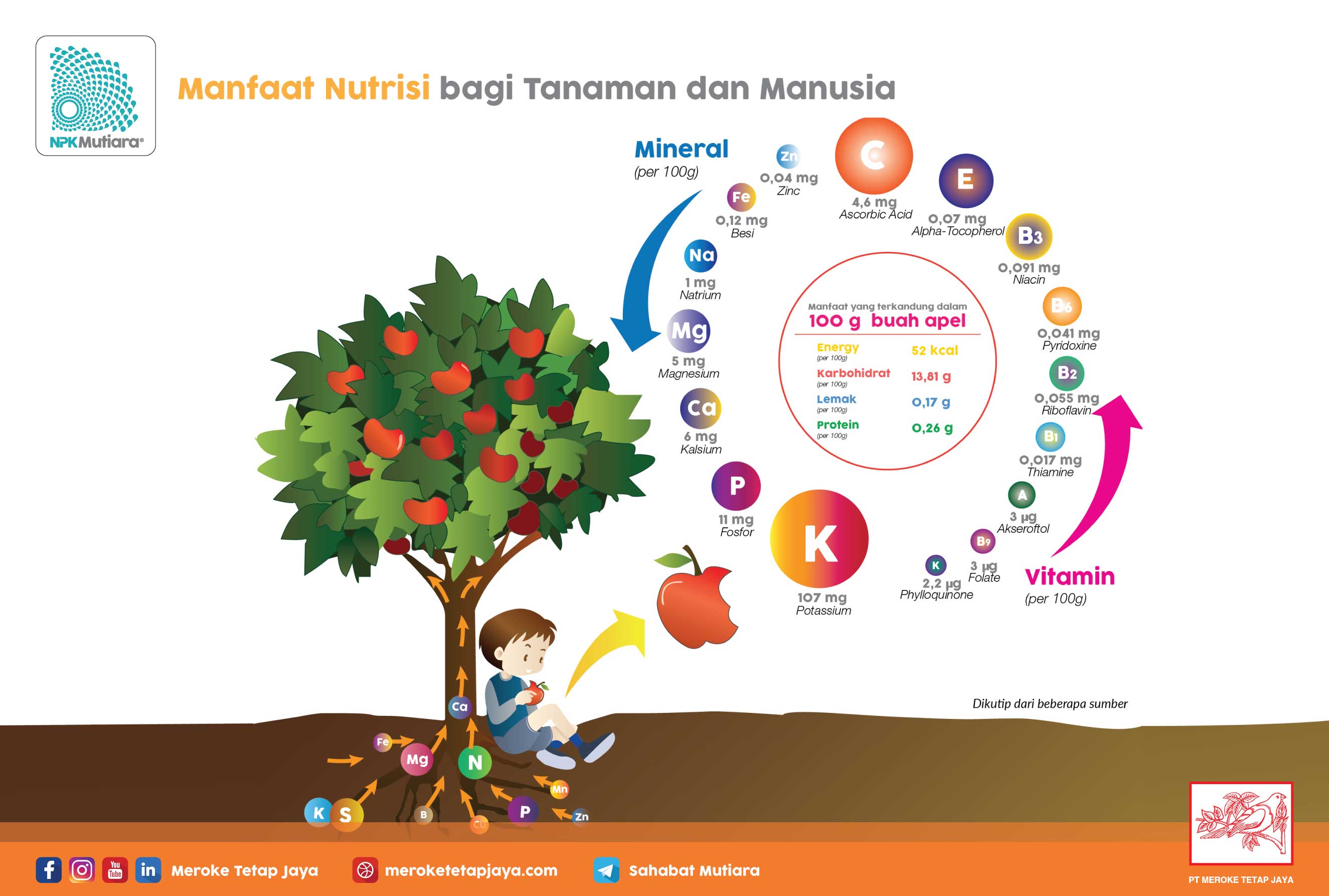 Cangkang Telur: Sumber Nutrisi Untuk Pertumbuhan Tanaman Dan Kesehatan Hewan Cangkang Telur: Sumber Nutrisi Untuk Pertumbuhan Tanaman Dan Kesehatan Hewan