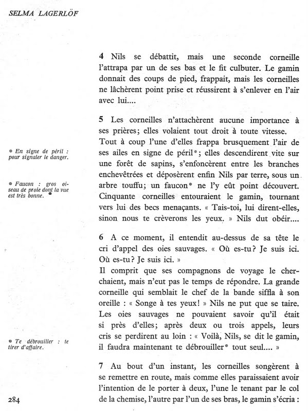 Capacités Géométriques Inattendues Chez Les Corneilles: Dépassement Des Performances Des Babouins Capacités Géométriques Inattendues Chez Les Corneilles: Dépassement Des Performances Des Babouins