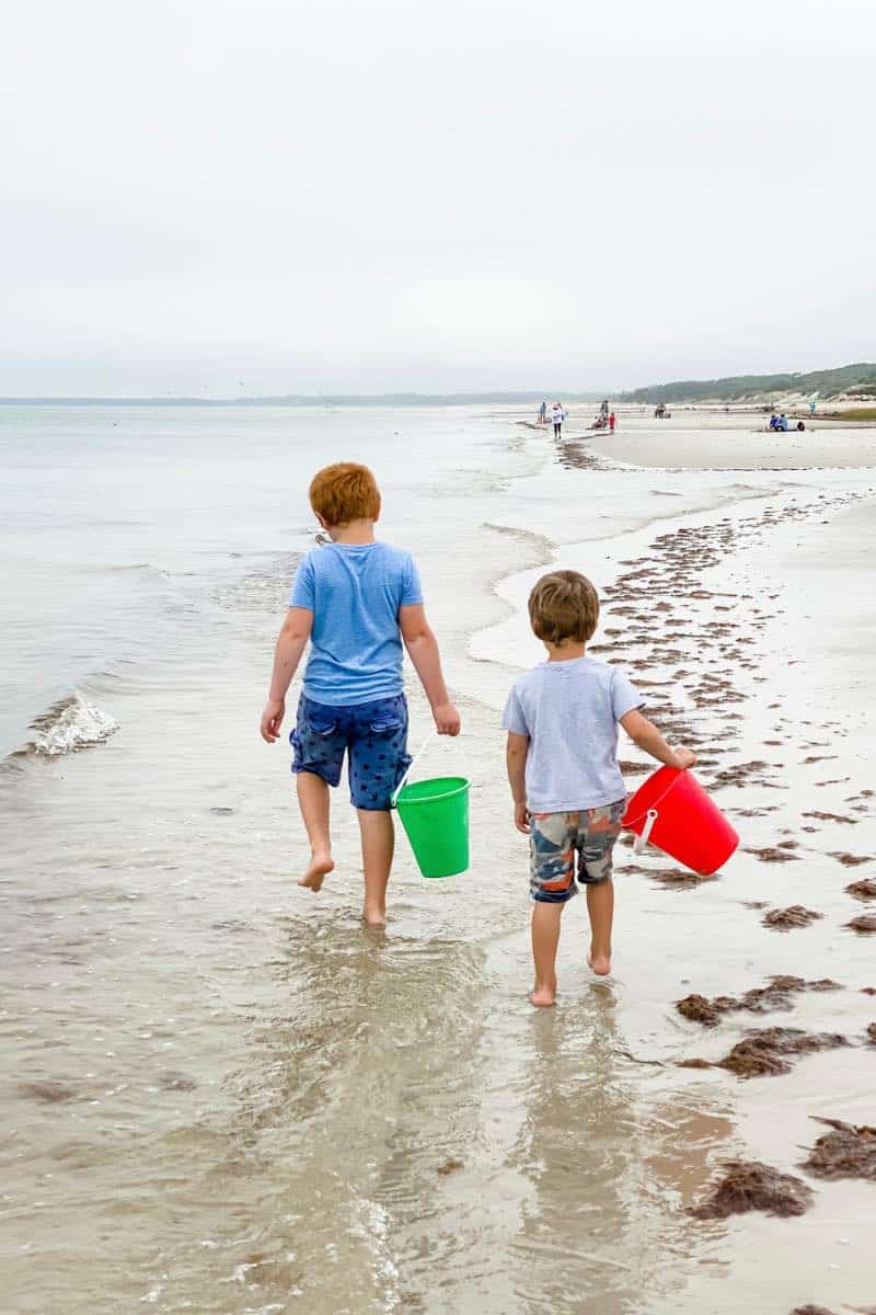 Cape Cod Red Tide Emergency: What You Need To Know Cape Cod Red Tide Emergency: What You Need To Know