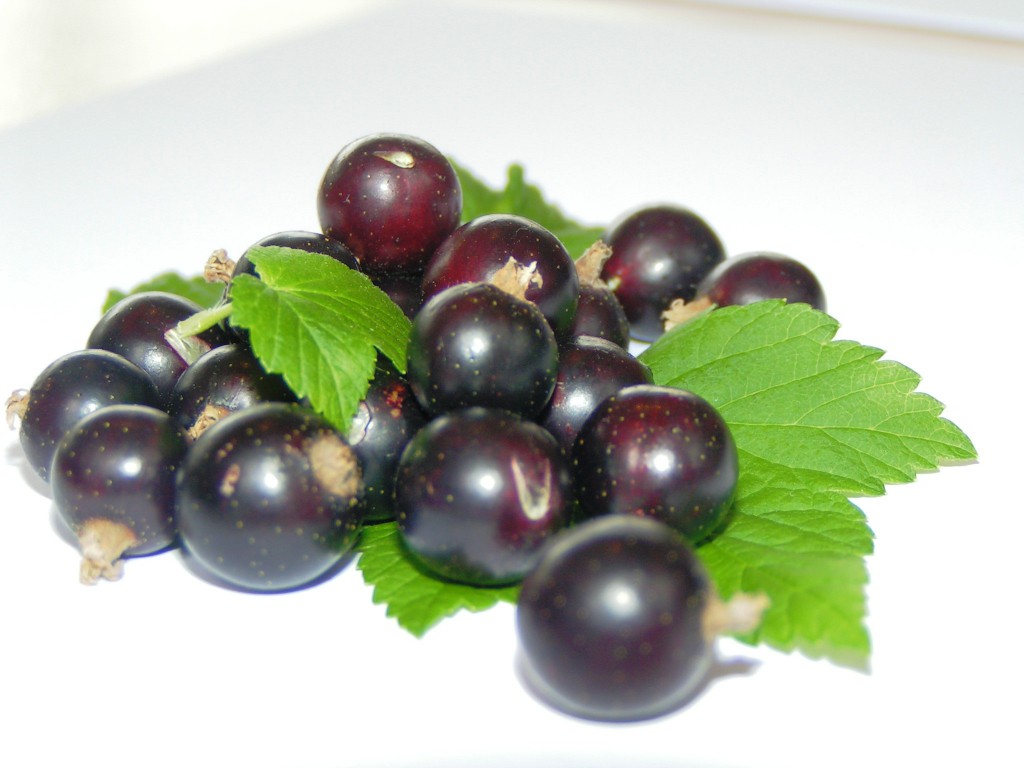Cassis Blackcurrant Vs. Other Blackcurrant Products: A Comparison Cassis Blackcurrant Vs. Other Blackcurrant Products: A Comparison
