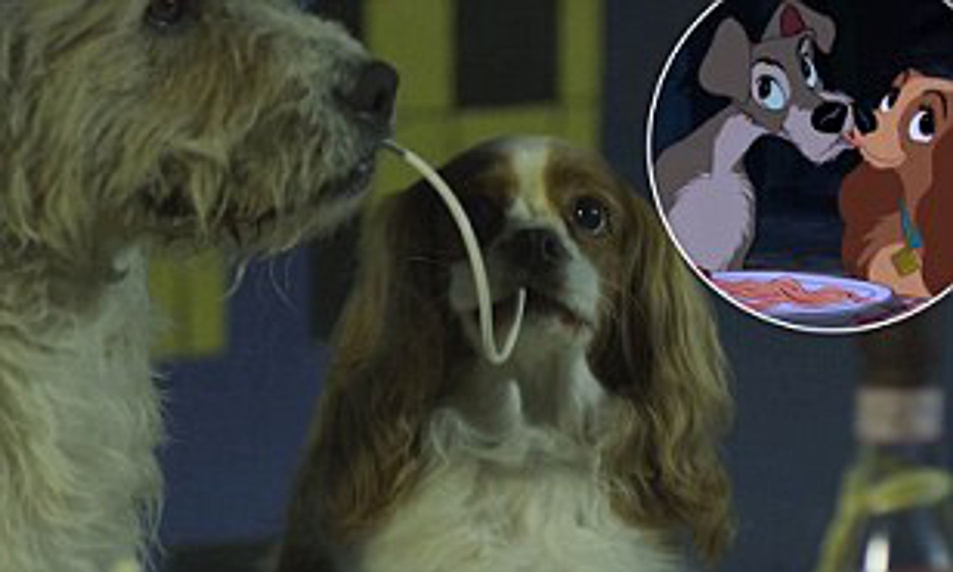 Chicago Cubs: Fans' Hot Dog Kiss Mimics Lady And The Tramp Chicago Cubs: Fans' Hot Dog Kiss Mimics Lady And The Tramp