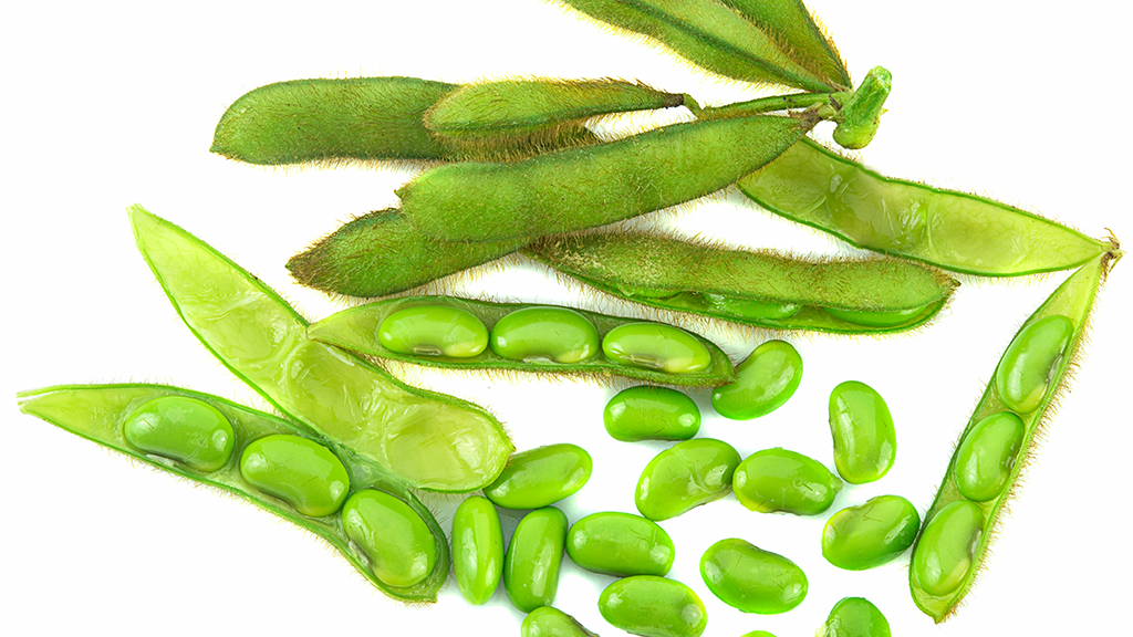 China Soybean Market: Sinograin Auction Responds To Supply Imbalance China Soybean Market: Sinograin Auction Responds To Supply Imbalance