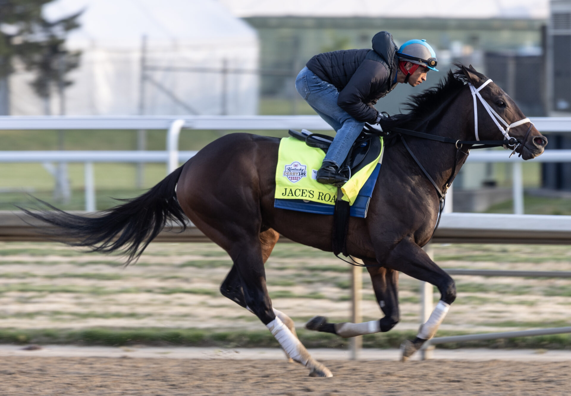 Chunk Of Gold: A 2025 Kentucky Derby Contender Profile Chunk Of Gold: A 2025 Kentucky Derby Contender Profile