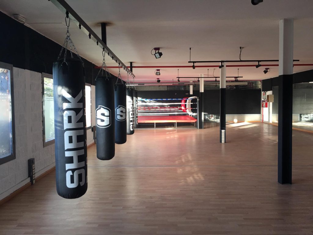 Clases De Boxeo En El Edomex: ¡Apúrate, Solo 3 Días! Clases De Boxeo En El Edomex: ¡Apúrate, Solo 3 Días!