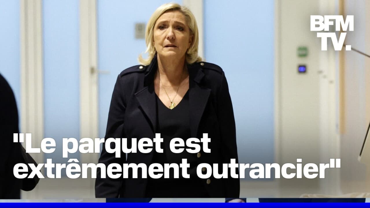 Condamnation De Marine Le Pen : 5 Ans D'Inéligibilité Et Une France Polarisée