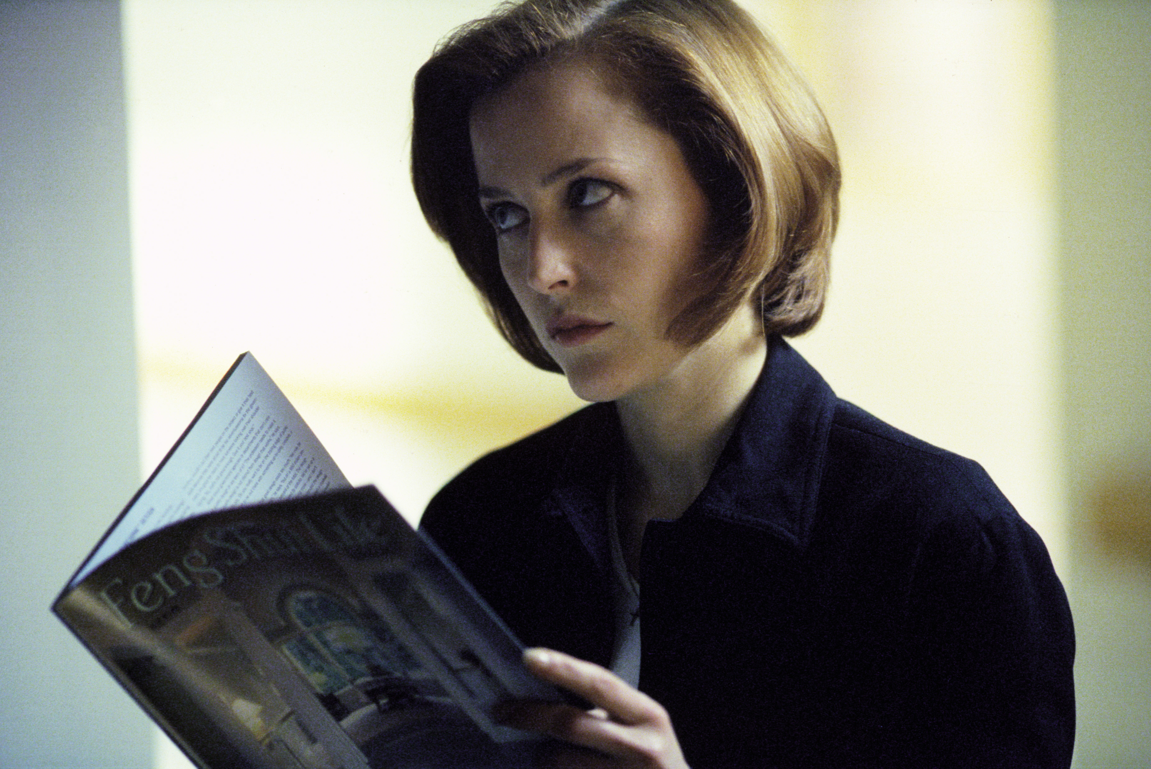 Could Gillian Anderson Reprise Her Role In A New X-Files Series? Could Gillian Anderson Reprise Her Role In A New X-Files Series?
