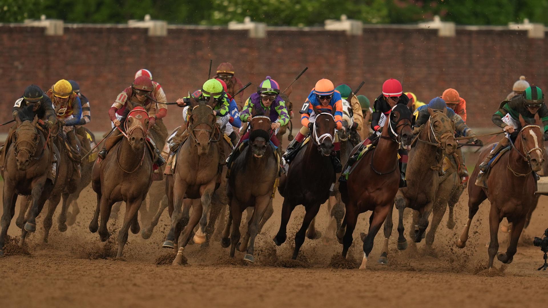 Countdown To Kentucky Derby 151: A Spectator's Guide Countdown To Kentucky Derby 151: A Spectator's Guide
