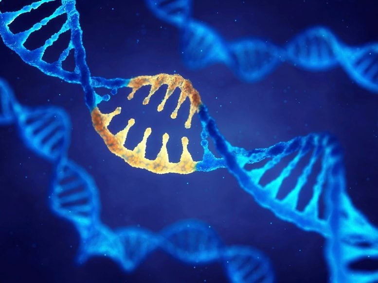 CRISPR Gene Editing: Inserting Entire Genes Into Human DNA CRISPR Gene Editing: Inserting Entire Genes Into Human DNA