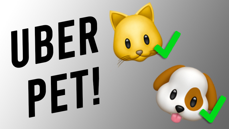 Delhi And Mumbai Residents Can Now Use Uber For Pet Transport Delhi And Mumbai Residents Can Now Use Uber For Pet Transport