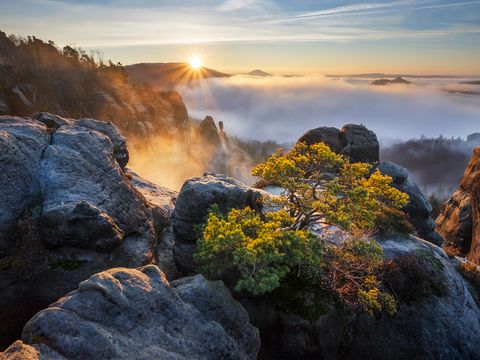 Deutschlands Schönster Wanderweg? Die Sächsische Schweiz Im Fokus Deutschlands Schönster Wanderweg? Die Sächsische Schweiz Im Fokus