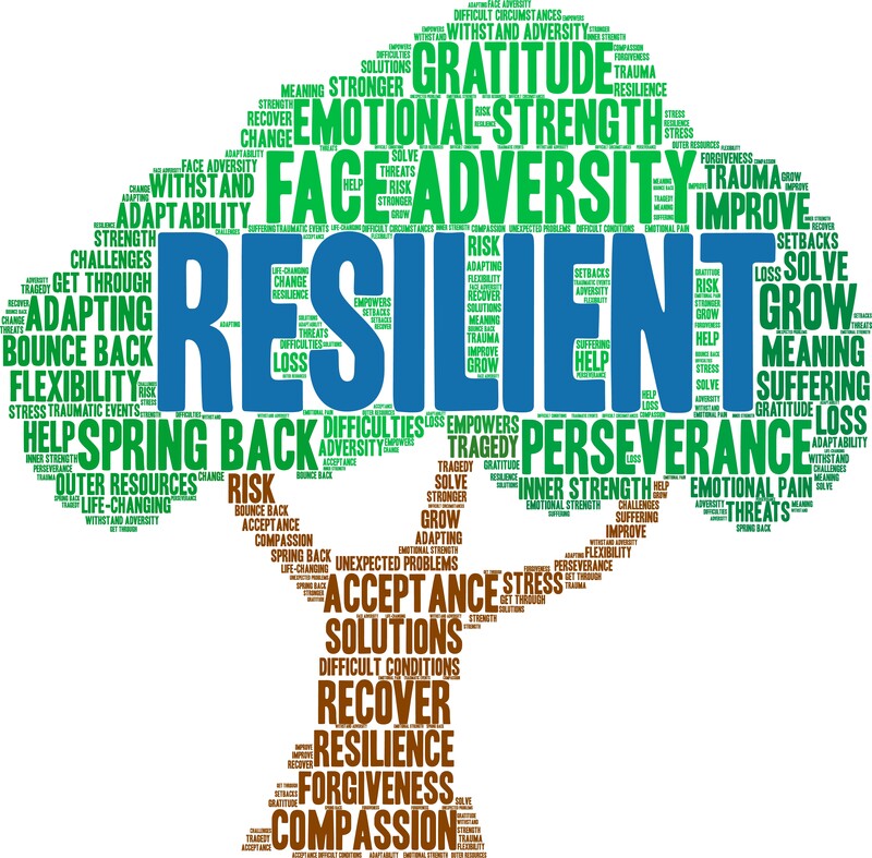 Developing Resilience & Mental Health: A Path To Personal Growth Developing Resilience & Mental Health: A Path To Personal Growth
