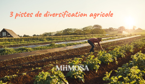 Diversification Agricole Et Economique À Moncoutant-sur-Sèvre (près De Clisson) Diversification Agricole Et Economique À Moncoutant-sur-Sèvre (près De Clisson)