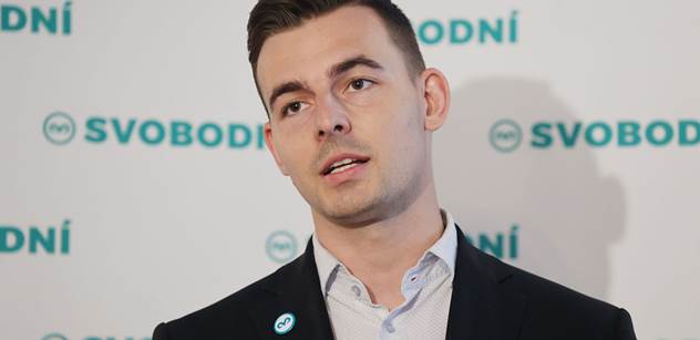 Domácí Politika: Piráti A Zelení Plánují Společný Postup Domácí Politika: Piráti A Zelení Plánují Společný Postup