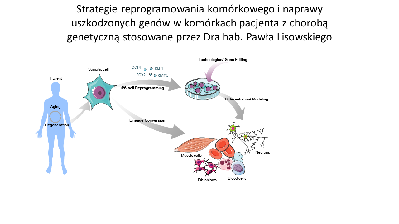 Dostawa Trotylu: Współpraca Polsko-amerykańska Dostawa Trotylu: Współpraca Polsko-amerykańska