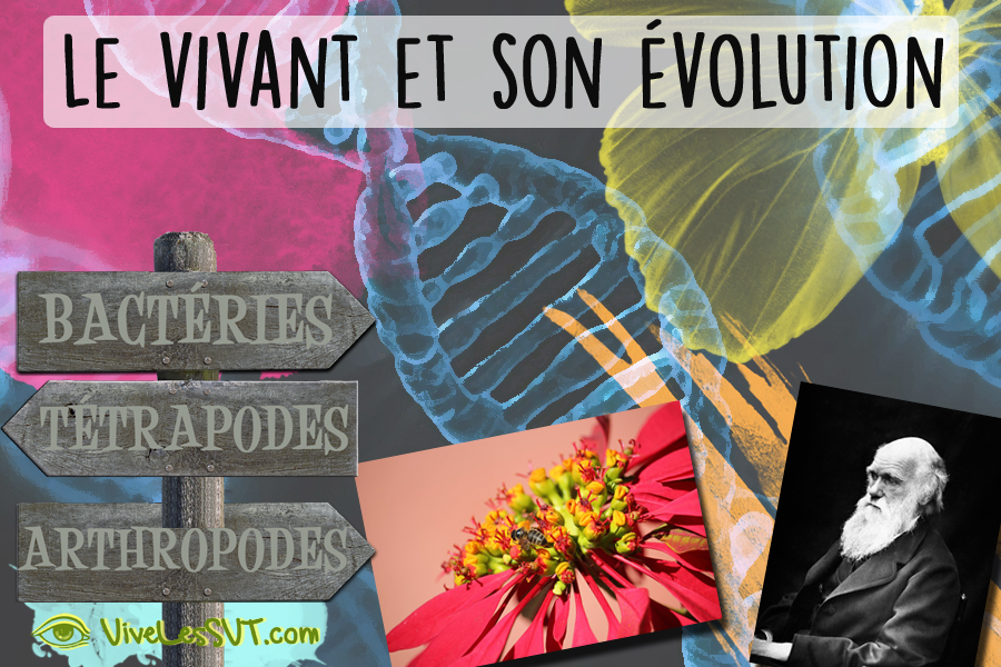 Droits Pour Le Vivant : Le Cas Emblématique De L’étoile De Mer Droits Pour Le Vivant : Le Cas Emblématique De L’étoile De Mer